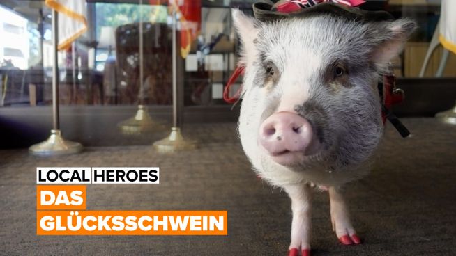 Local Heroes: Lilou, das Therapieschwein